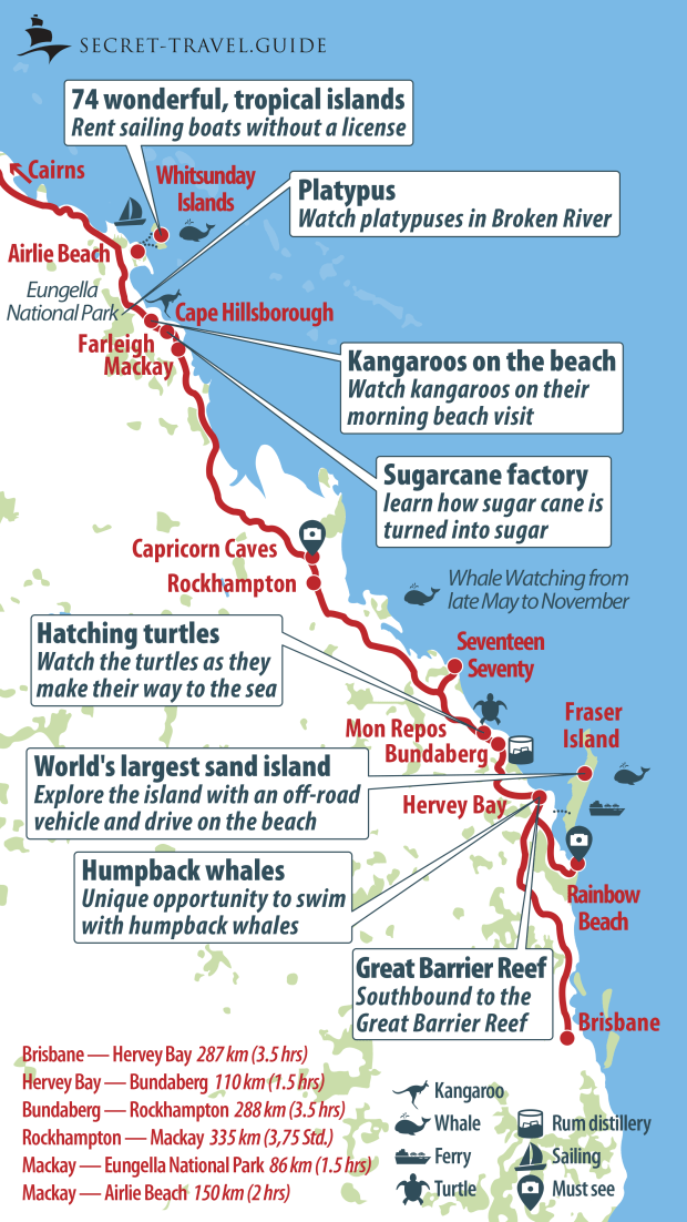Planning to drive along the stunning east coast of australia? Discover Australia S East Coast From Brisbane To Cairns Cape Tribulation Secret Travel Guide