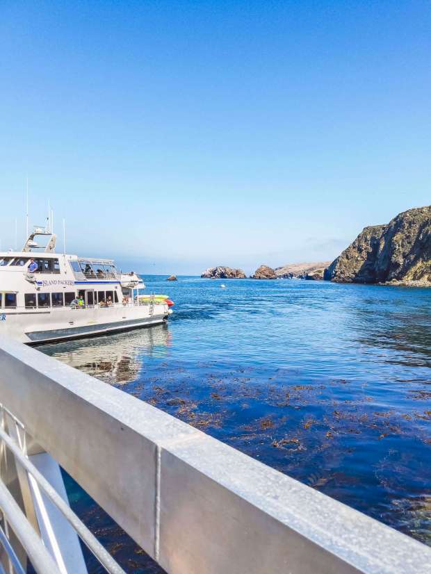 Tickets cost $30 and the journey takes 1h 40m. Channel Islands Kayaking Everything You Need To Know Adrift Aesthetic