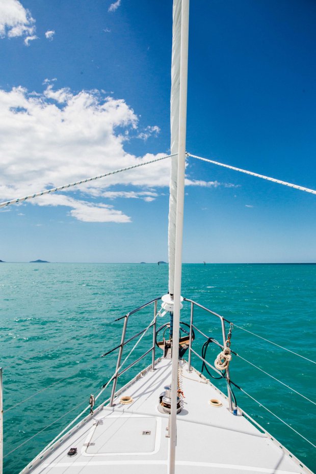 Picture While it may not be for everyone, cruises are extremely popular for many vacationers. How To Visit The Whitsundays My Sailing Experience Kalea Marine Digital Design Illustration