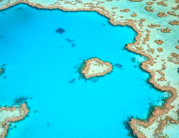 There are 4 ways to get from cairns to whitsundays by plane, ferry, bus or train ; Top Ten Things To Do In The Whitsundays Walk My World