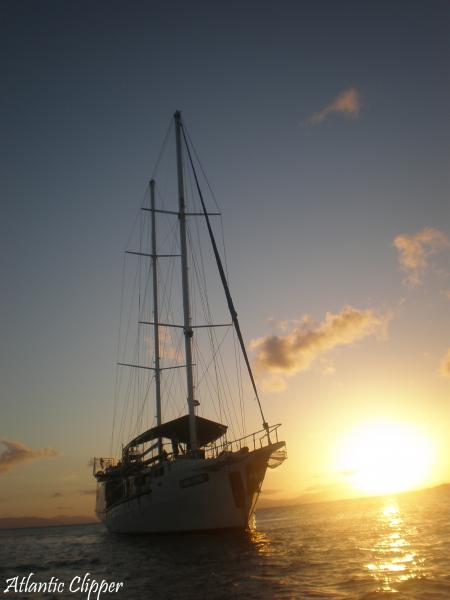 The atlantic clipper is one of the many boats that set sail from abell point marina to explore the whitsundays. Whitsunday Islands Duck Travel