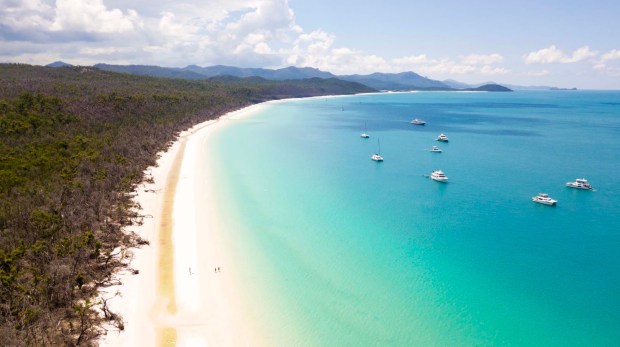Ferries run daily, with a full schedule available here. The Best Whitehaven Beach Tour With Cruise Whitsundays Explore Shaw