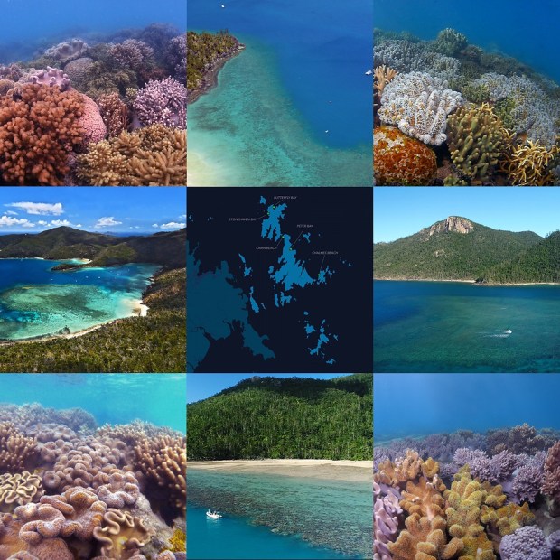 For all weather types using our interactive and informative map of the whitsundays. Gobareboating To The Whitsundays Best Coral
